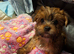 Looking for forever home