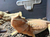 Bearded dragon with VIV and full set up