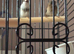 Bengalese finches x 3