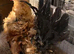 Perfect pets tiny seramas