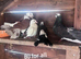 Romanian Standard Homer Pigeons