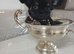 Tiny chihuahua puppies