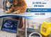Mobile Pet Microchipping - Torbay - Teignbridge