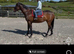 Louie 5 year old tb