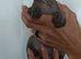 canadian sphynx