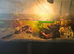 2 musk turtles