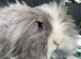 Beautiful teddywidder girl