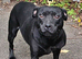 Stunning Female Available