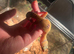 Beautiful baby leopard geckos