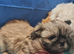 Kc reg Stunning small baby boys