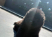 Chows for sale