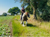 Missy 15&rdquo;2 cob mare