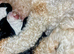 Poodle cavapoo/poodle