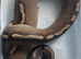 Phantom GHI Royal Python