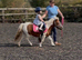 Lovely miniature Shetland mare.