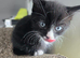 Reduced!! Need homes asap