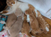 Gorgeous British shorthair kittens available