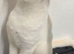 Pure White cat