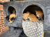 Kittens for sale (including ginger females!)