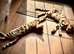 Two Bengal twins kittens