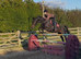 Super fun mare to share