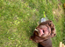 English bulldog