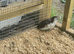 Young Quail off heat