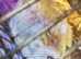 Siberian hamster and cge