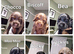 Cockapoo Puppies For Sale!!
