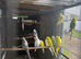Baby budgies
