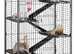 Rat cage