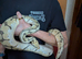 Male spider ghost royal python