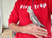 Super silly hand tamed baby cockatiels