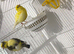 Canaries and zebra finches