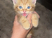 5 kittens