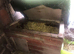 NEST-BOX AVAILABLE !