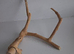 Java wood perch