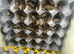 50 / 100 feeder roaches small /medium/ large (well fed)