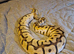 CB14 hybrid bumblebee bloodball python