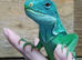 Fiji Iguana - Brachylophus bulabula