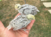 Snowflake Bobwhite Quail