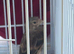 2025 Rung Linnet (don’t know sex