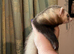 Half micro ferret hob