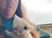 We have 6 beautiful kittens ready to leave next week