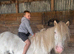 11.2 4 year old con mare