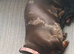 Miniature Dachshund
