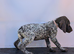 3 gorgeous German pointers