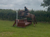 15.3h 10 year old schoolmaster