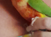 Hand tame baby conures