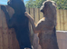 2.yr old female cane corso